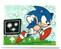 Sonic Brazil Sticker Album 012.png