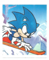 Sonic Brazil Sticker Album 147.png