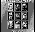 MortalKombat3 GB FighterSelect.png