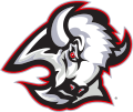 BuffaloSabres logo 1996.svg