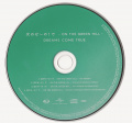 DCT On The Green Hill Disc.jpg