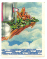 Sonic Brazil Sticker Album 198.png