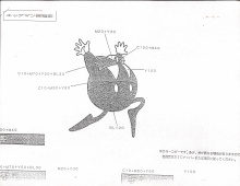 TomPaynePapers TomPaynePapers Binder Clip 4 (Sonic the Hedgehog Setting Document Collection) (Binder Clip, Original Order) image1383.jpg