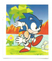 Sonic Brazil Sticker Album 020.png