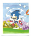 Sonic Brazil Sticker Album 014.png
