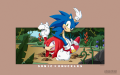 Wallpaper 195 knuckles 16 pc.png
