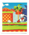 Sonic Brazil Sticker Album 028.png