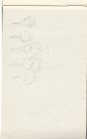 TomPaynePapers Small Blank Notepad (Bound, Original Order) 2023-04-07-0023.jpg