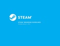 Steam BrandingGuidelines 2017-01-04.pdf